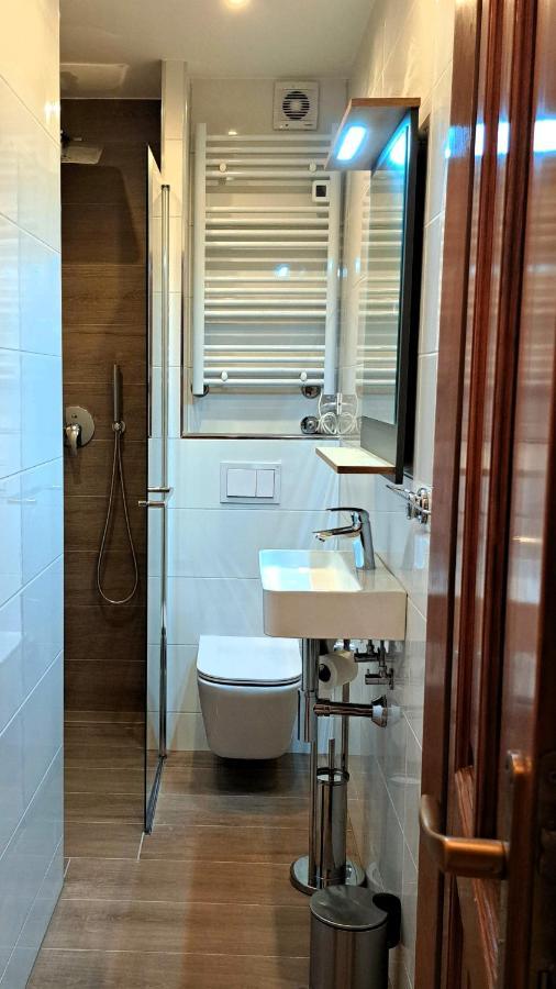 Studio Apartman Olivera ロヴィニ エクステリア 写真