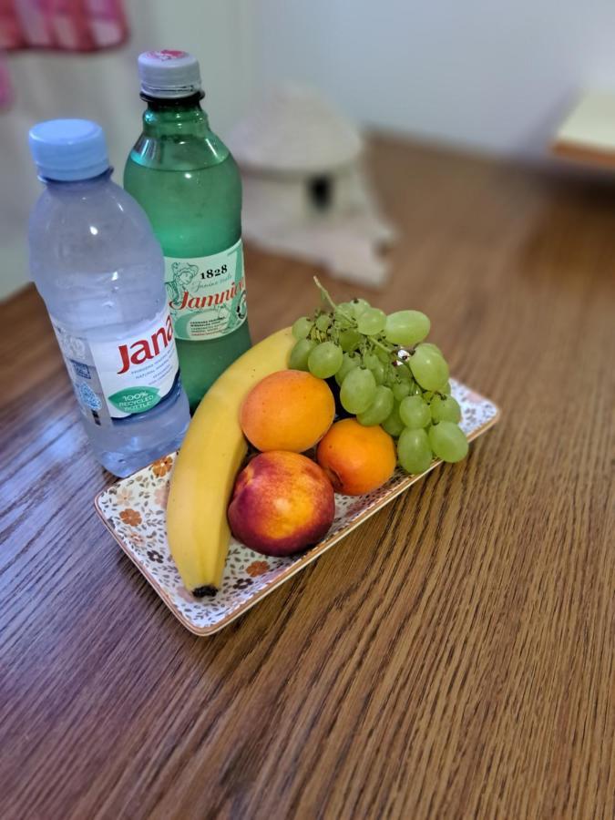 Studio Apartman Olivera ロヴィニ エクステリア 写真